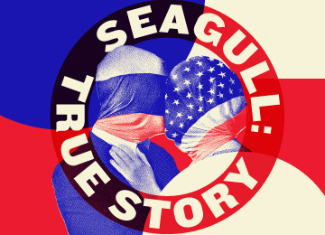 SEAGULL: TRUE STORY