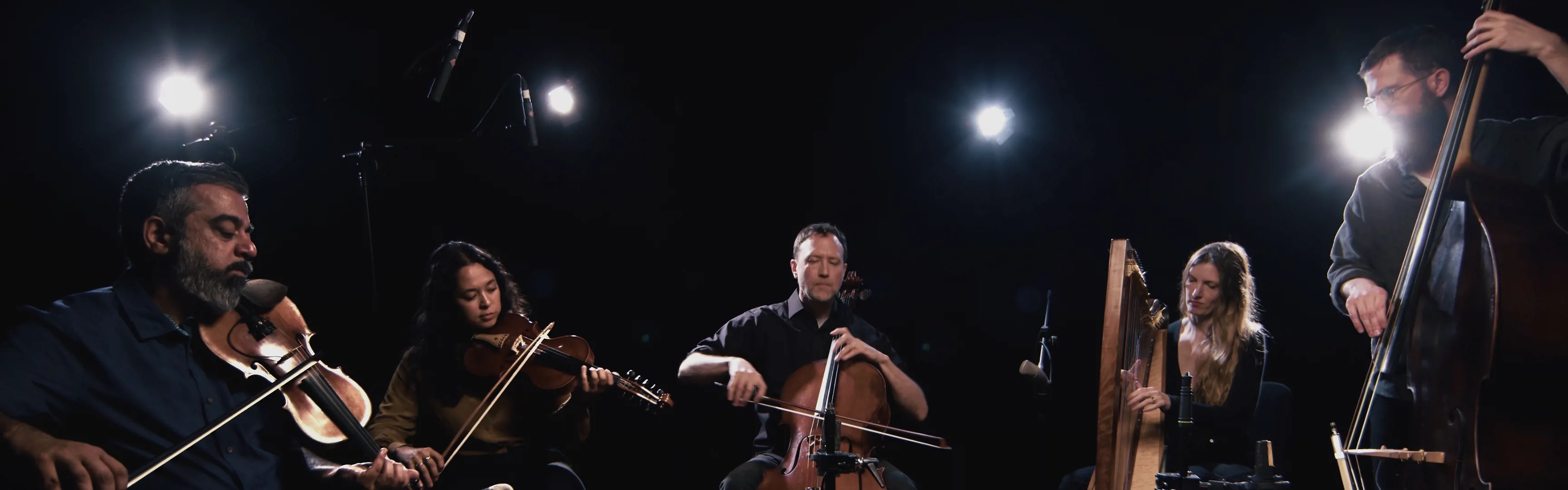 The Night Heron Quintet